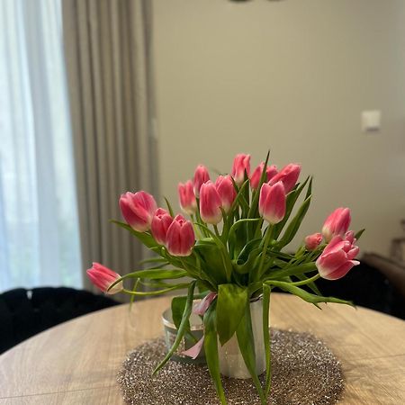 Apartament Kaszmirowy Bielsko-Biała Dış mekan fotoğraf