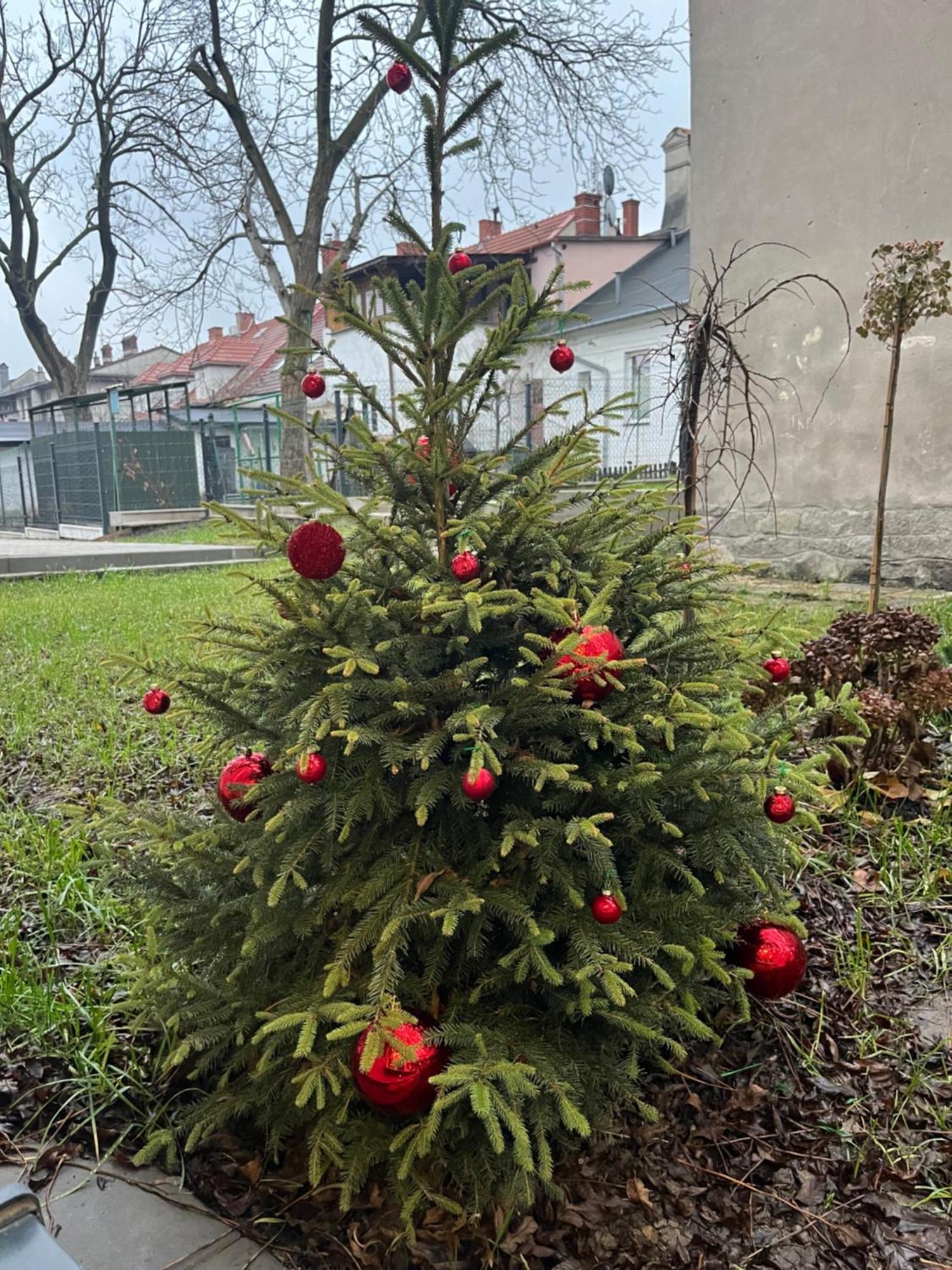Apartament Kaszmirowy Bielsko-Biała Dış mekan fotoğraf