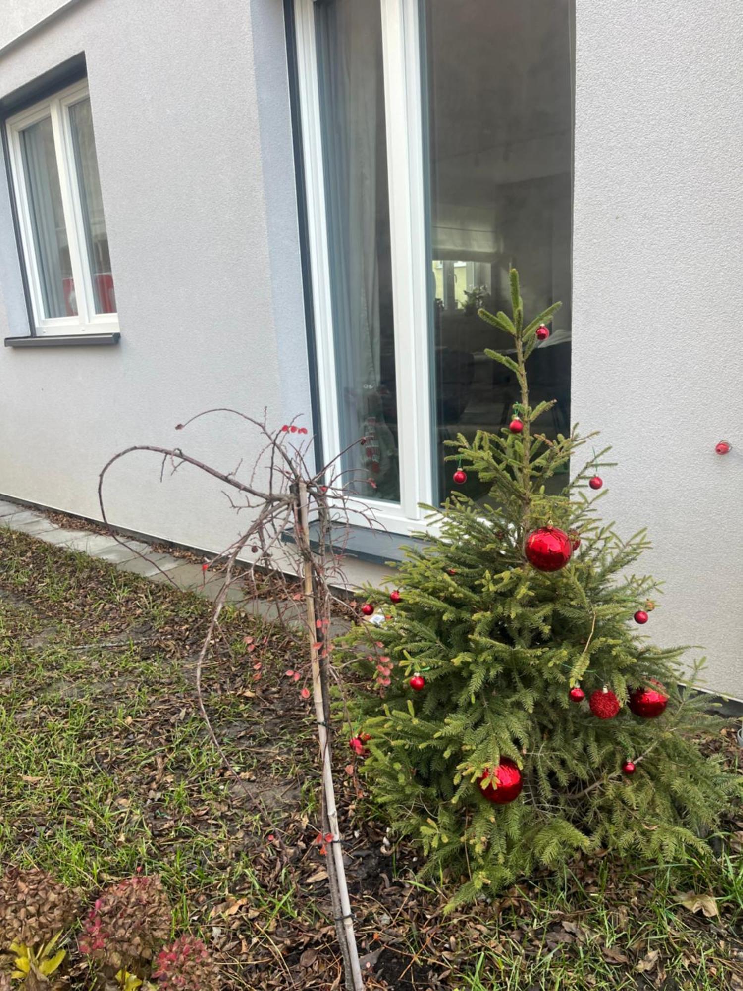 Apartament Kaszmirowy Bielsko-Biała Dış mekan fotoğraf