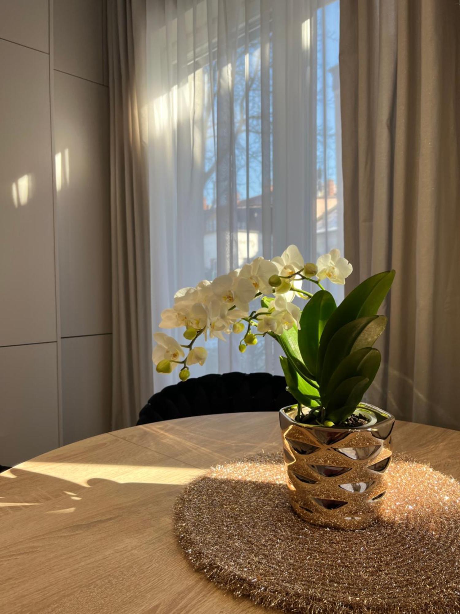 Apartament Kaszmirowy Bielsko-Biała Dış mekan fotoğraf