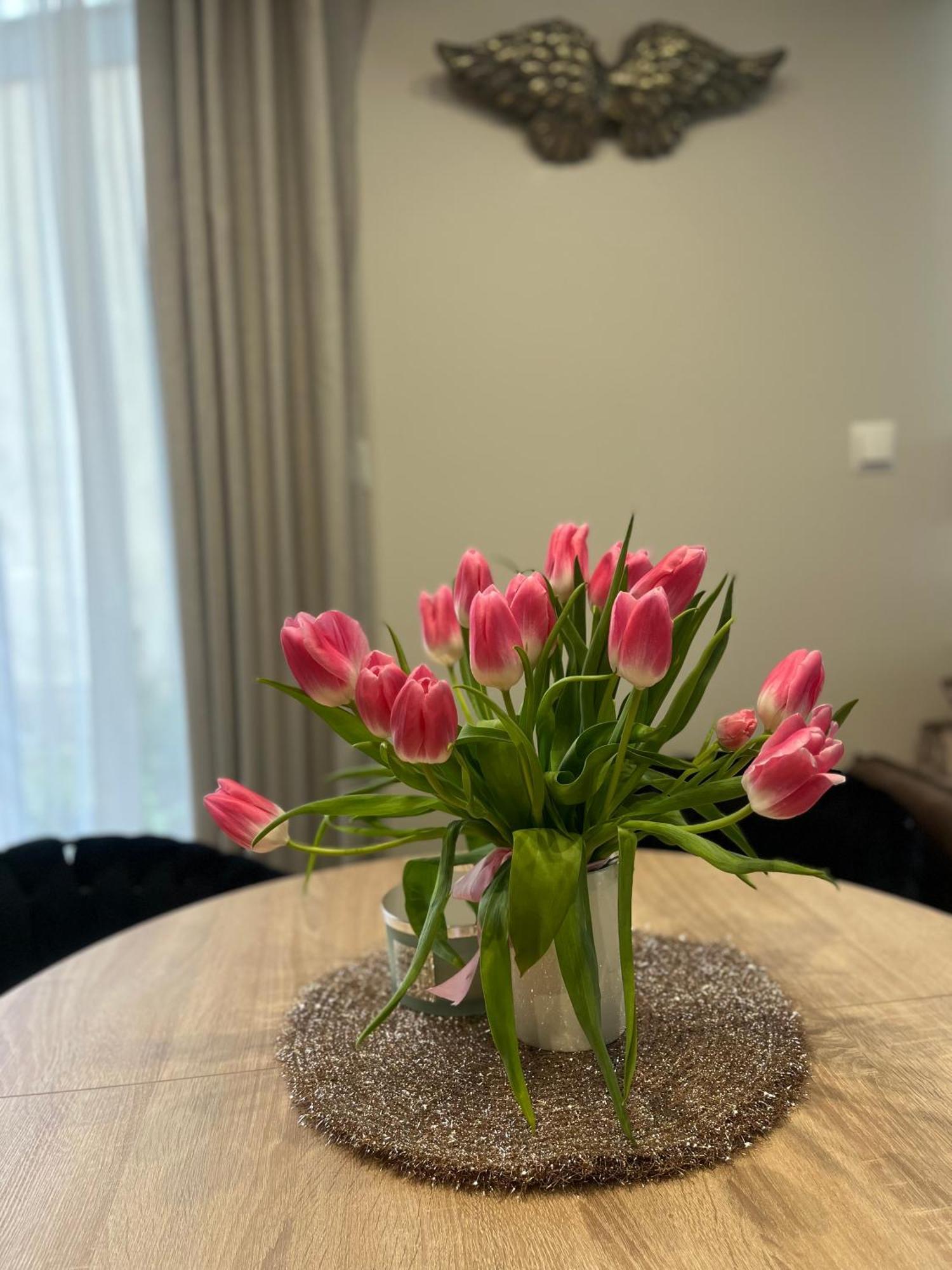 Apartament Kaszmirowy Bielsko-Biała Dış mekan fotoğraf